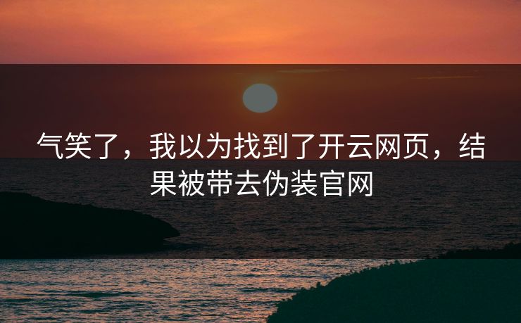 气笑了，我以为找到了开云网页，结果被带去伪装官网
