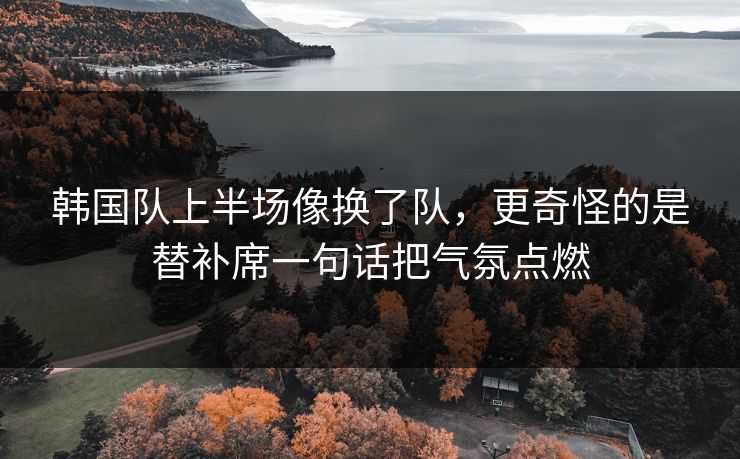 韩国队上半场像换了队，更奇怪的是替补席一句话把气氛点燃
