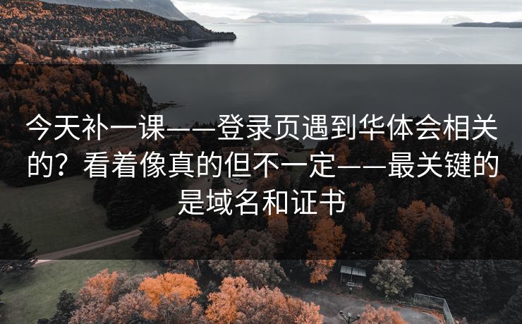 今天补一课——登录页遇到华体会相关的？看着像真的但不一定——最关键的是域名和证书