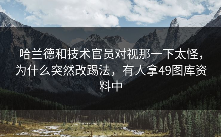 哈兰德和技术官员对视那一下太怪，为什么突然改踢法，有人拿49图库资料中