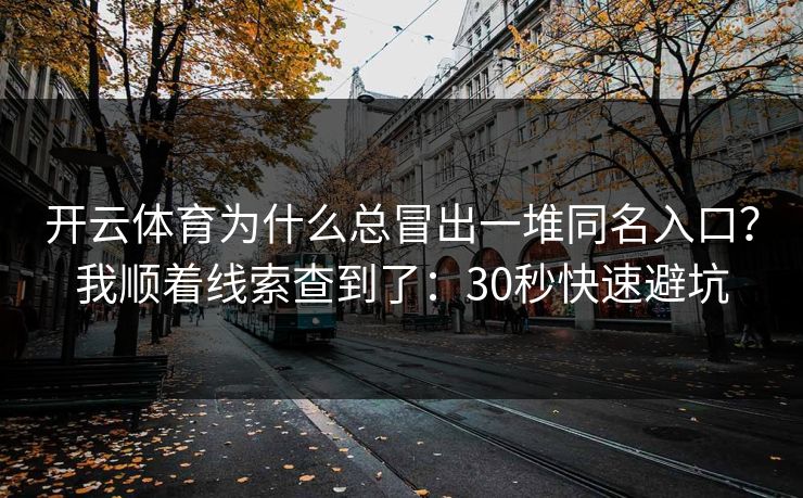 开云体育为什么总冒出一堆同名入口？我顺着线索查到了：30秒快速避坑