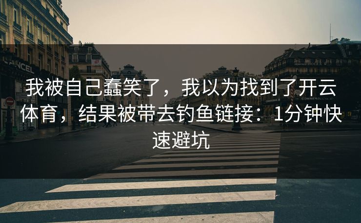 我被自己蠢笑了,我以为找到了开云体育,结果被带去钓鱼链接:1分钟快速避坑